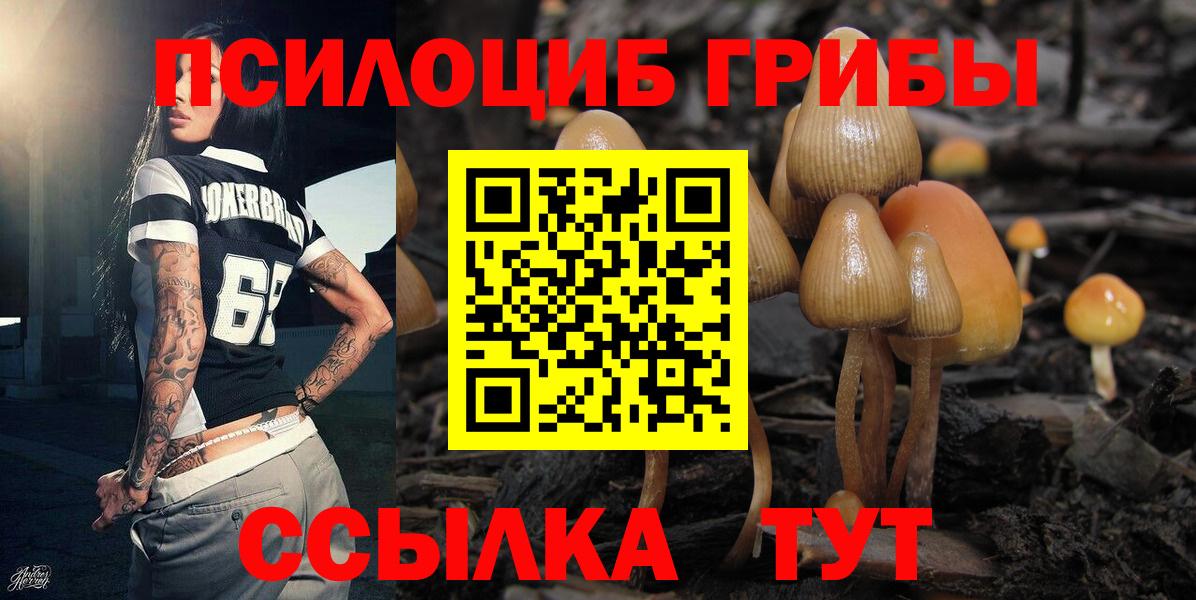 Псилоцибиновые грибы ЛСД Дмитров
