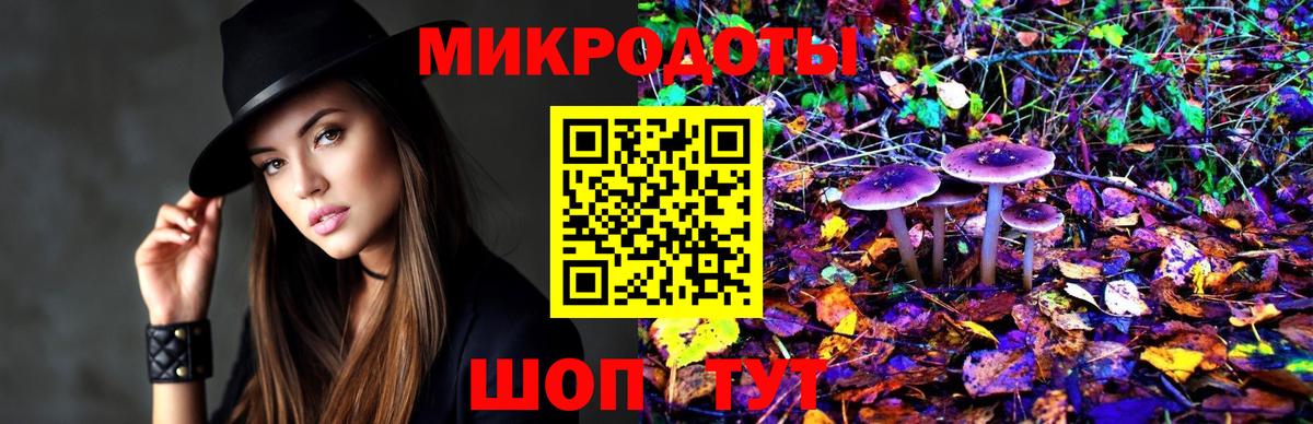 Дмитров  Псилоцибиновые грибы MAGIC MUSHROOMS  Вход с VPN 
